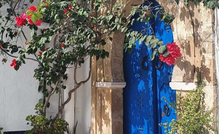 Porte bleu cloutee du village de sidi bou said