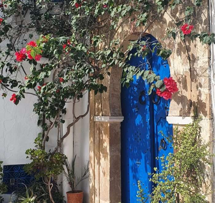 Porte bleu cloutee du village de sidi bou said