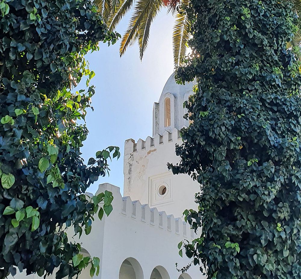 Les incontournables de Tunis : La Marsa